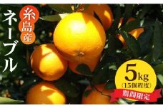 【先行受付】糸島産 ネーブル5kg 【2026年2月下旬以降順次発送】　糸島市 / シーブ [AHC029]