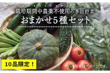 【10品限定！】栽培期間中農薬不使用 の 季節野菜 おまかせ5種 セット 糸島市 / シーブ [AHC053]