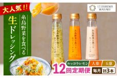 【全12回定期便】糸島 野菜 を食べる 生 ドレッシング 3種類 3本 セット （ 人参 / ルッコラレモン / 玉ねぎ ） 《糸島》【糸島正キ】[AQA022]