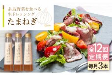 【全12回定期便】【 ご家庭用 】 糸島 野菜 を 食べる 生 ドレッシング （ 玉葱 × 3本 ） 《糸島》【糸島正キ】 [AQA025]