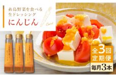 【全3回定期便】【 ご家庭用 】 糸島 野菜 を 食べる 生 ドレッシング （ 人参 × 3本 ） 《糸島》【糸島正キ】 [AQA029]
