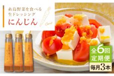 【全6回定期便】【 ご家庭用 】 糸島 野菜 を 食べる 生 ドレッシング （ 人参 × 3本 ） 《糸島》【糸島正キ】 [AQA030]