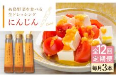 【全12回定期便】【 ご家庭用 】 糸島 野菜 を 食べる 生 ドレッシング （ 人参 × 3本 ） 《糸島》【糸島正キ】 [AQA031]