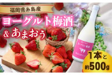 【先行予約】【春】ヨーグルト梅酒720ml ×あまおう 約250g×2パック  【2026年2月上旬以降順次発送】 糸島市 / 南国フルーツ株式会社 [AIK013]