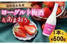 【先行予約】【冬】ヨーグルト梅酒720ml ×あまおう 約250g×2パック 【2025年12月上旬以降順次発送】  糸島市 / 南国フルーツ株式会社 [AIK012]