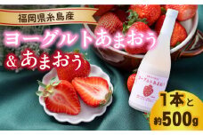 【先行予約】【冬】ヨーグルトあまおう720ml×あまおう約250g×2パック 【2025年12月上旬以降順次発送】 糸島市 / 南国フルーツ株式会社 [AIK014]
