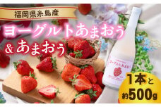 【先行予約】【春】ヨーグルトあまおう720ml ×あまおう 約250g×2パック  【2026年2月上旬以降順次発送】  糸島市 / 南国フルーツ株式会社 [AIK015]