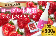 【先行予約】ヨーグルト梅酒720ml×あまおうギフト箱入り （12-15粒） 【2025年12月上旬以降順次発送】 糸島市 / 南国フルーツ株式会社 [AIK016]