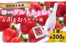 【先行予約】ヨーグルトあまおう720ml×あまおうギフト箱入り （12-15粒）【2025年12月上旬以降順次発送】  糸島市 / 南国フルーツ株式会社 [AIK017]