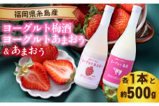【先行予約】【冬】ヨーグルトあまおう＆ヨーグルト梅酒 各720ml×あまおう 約250g×2パック 【2025年12月上旬以降順次発送】 糸島市 / 南国フルーツ株式会社 [AIK018]