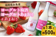 【先行予約】【春】ヨーグルトあまおう＆ヨーグルト梅酒 各720ml×あまおう 約250g×2パック 【2026年2月上旬以降順次発送】 糸島市 / 南国フルーツ株式会社 [AIK019]