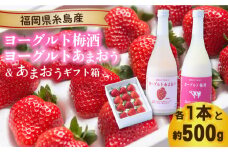 【先行予約】ヨーグルトあまおう＆ヨーグルト梅酒 各720ml×あまおうギフト箱入り （12-15粒）【2025年12月上旬以降順次発送】  糸島市 / 南国フルーツ株式会社 [AIK020]