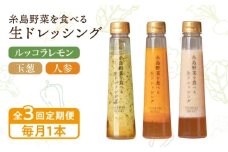 【全3回定期便】【毎月1本ずつお届け】糸島野菜を食べる生ドレッシング 1本 × 3種 お試し 定期便 （ 人参 / 玉葱 / ルッコラレモン ） 糸島市 / 糸島正キ [AQA035]