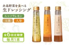 【全6回定期便】【毎月1本ずつお届け】糸島野菜を食べる生ドレッシング 1本 × 3種 セット （ 人参 / 玉葱 / ルッコラレモン ） 糸島市 / 糸島正キ [AQA036]