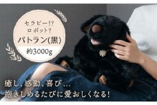 犬型セラピー？！ロボット？パトランの黒（通称：クロラン） 犬 ぬいぐるみ 糸島市 / 科学工房未來 [AYI002]
