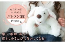 犬型セラピー？！ロボット？パトランの白（通称：シロラン）犬 ぬいぐるみ 糸島市 / 科学工房未來 [AYI003]