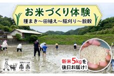お米づくり 体験チケット 糸島市 / 天然パン工房楽楽【いとしまごころ】 [AVC065] 体験型 農業 食育