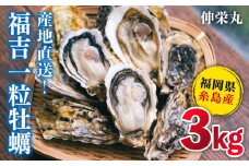 一粒牡蠣 カキ 3kg (牡蠣ナイフ付き) 糸島産 福吉 糸島市/伸栄丸 カキの佐々木 牡蠣 生カキ 生食用 殻付き カキ 生牡蛎 生食可 [ATH002]