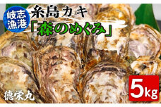 糸島カキ 生牡蠣 5kg 福岡県糸島市岐志漁港【徳栄丸】牡蠣 生カキ 生食用 殻付き カキ 生牡蛎 生食可 [APD002]