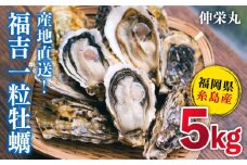 一粒牡蠣 カキ 5kg (牡蠣ナイフ付き) 糸島産 福吉 糸島市/伸栄丸 カキの佐々木 牡蠣 生カキ 生食用 殻付き カキ 生牡蛎 生食可 [ATH003]