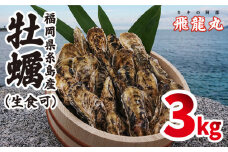 福吉の牡蠣 殻付き 生食可 3kg (簡易 ナイフ 付き) 福岡県 糸島産 糸島 / かきの阿部 飛龍丸 [AZB002] 牡蠣 生カキ