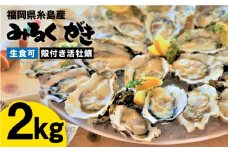 【日時指定可】みるくがき 2kg ◆生食可 から付き 活牡蠣 《糸島》【豊久丸】牡蠣 生カキ 生食用 殻付き カキ 生牡蛎 生食可 [AEJ004]