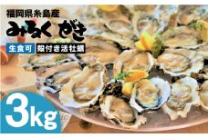 【日時指定可】みるくがき 3kg ◆生食可 から付き 活牡蠣 《糸島》【豊久丸】牡蠣 生カキ 生食用 殻付き カキ 生牡蛎 生食可 [AEJ005] ランキング 上位 人気 おすすめ