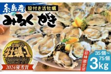 【日時指定可】みるくがき 3kg から付き 活牡蠣 《糸島》【豊久丸】牡蠣 生カキ 殻付き カキ 生牡蛎  [AEJ005] ランキング 上位 人気 おすすめ