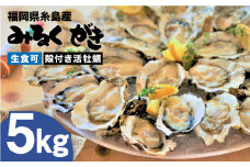 【日時指定可】みるくがき 5kg ◆生食可 から付き 活牡蠣 《糸島》【豊久丸】牡蠣 牡蛎 カキ かき 生食 殻付き オイスター 糸島カキ ナイフ [AEJ006]