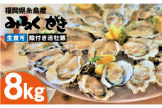 【日時指定可】みるくがき 8kg ◆生食可 から付き 活牡蠣 《糸島》【豊久丸】牡蠣 生カキ 生食用 殻付き カキ 生牡蛎 生食可 [AEJ007]