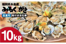 【日時指定可】みるくがき 10kg ◆生食可 から付き 活牡蠣 《糸島》【豊久丸】牡蠣 生カキ 生食用 殻付き カキ 生牡蛎 生食可 [AEJ008]