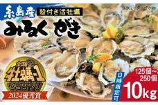 【日時指定可】みるくがき 10kg から付き 活牡蠣 《糸島》【豊久丸】牡蠣 生カキ 殻付き カキ 生牡蛎  [AEJ008]
