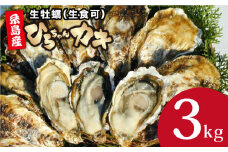 【日時指定可】殻付き牡蠣 中サイズ 3kg（36個前後）牡蠣 生カキ 生食用 殻付き カキ 生牡蛎 生食可  ひろちゃんカキ / 糸島市 [AJA003]