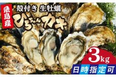 【日時指定可】加熱用 殻付き牡蠣 中サイズ 3kg（36個前後）牡蠣 生カキ 殻付き カキ 活牡蛎 ひろちゃんカキ / 糸島市 [AJA003]