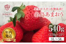 【2024年・年内発送】糸島の美味いあまおう（270g×2パック）A品B品含む3L～5L【磯本農園】いちご/イチゴ/苺/家庭用 [ATB021]