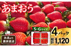 【先行予約】【農家直送！】 糸島産 あまおう 280g × 4パック (Sサイズ～Gサイズ) 【2026年1月下旬以降順次発送】 糸島市 / 後藤農園 [AML003] いちご 福岡 ランキング 上位 人気 おすすめ