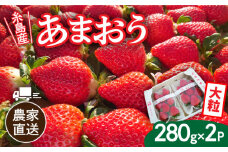 【先行予約】【農家直送！】糸島産あまおう 280g×2パック (DXまたはGサイズ)  【2025年12月以降順次発送】 糸島市 / 後藤農園 [AML001] いちご 福岡