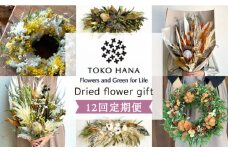 【華やかなイメージ】【全12回定期便】flower gift 糸島市 / tokohana [AOC025-1] ドライフラワー スワッグ 花