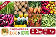 【☆畑直送☆限定販売！栽培期間中農薬不使用！】お 米 2kg & 野菜 7品 の セット 糸島市 / オーガニックナガミツファーム [AGE035]