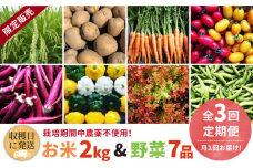 【全3回定期便】【☆畑直送☆限定販売！栽培期間中農薬不使用！】お 米 2kg & 野菜 7品 の セット 糸島市 / オーガニックナガミツファーム [AGE036]