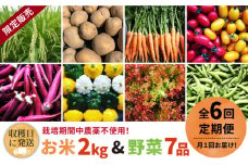 【全6回定期便】【☆畑直送☆限定販売！栽培期間中農薬不使用！】お 米 2kg & 野菜 7品 の セット 糸島市 / オーガニックナガミツファーム [AGE037]