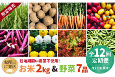 【全12回定期便】【☆畑直送☆限定販売！栽培期間中農薬不使用！】お 米 2kg & 野菜 7品 の セット 糸島市 / オーガニックナガミツファーム [AGE038]