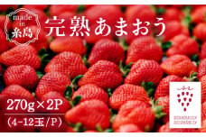 【先行受付】完熟あまおう 270g × 2パック【2026年1月より順次発送】 糸島市 / slowberry strawberry [APJ002] 苺 あまおう イチゴ