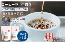 【細挽き】中煎り コーヒー 豆 250g × 2袋  ニカラグア産 ラベンディション農園 マラカツーラ種 ナチュラル 《糸島》 【COFFEE UNIDOS】 [AQF001-2]