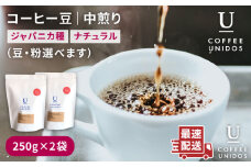 【細挽き】中煎り コーヒー 豆 250g × 2袋 （ 豆 ・ 粉 選べます ） ニカラグア産 エルポルベニール農園 ジャバニカ種 ナチュラル 《糸島》 【COFFEE UNIDOS】 [AQF005-2]