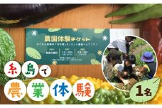 【ふるさと納税】糸島で農業体験(1名) 栽培期間中農薬不使用 無化学肥料 無除草剤の畑で野菜のお世話体験！[AAL001]