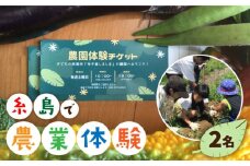【ふるさと納税】糸島で農業体験(2名) 栽培期間中農薬不使用 無化学肥料 無除草剤の畑で野菜のお世話体験！ [AAL002]