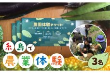 【ふるさと納税】糸島で農業体験(3名) 栽培期間中農薬不使用 無化学肥料 無除草剤の畑で野菜のお世話体験！ [AAL003]