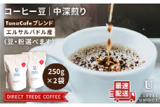 【中挽き】中深煎り コーヒー 豆 タナカフェブレンド 250g × 2袋（ 豆 ・ 粉 選べます ） 《糸島》 【COFFEE UNIDOS】 [AQF011-3]