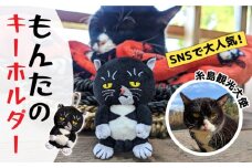 【 SNSで人気の猫 / 糸島観光大使】【 もんた 】 マスコット キーホルダー  糸島市 / Basismall 猫 ネコ 観光大使 [AXL002]